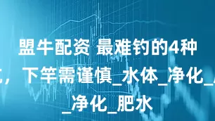 盟牛配资 最难钓的4种黑坑，下竿需谨慎_水体_净化_肥水