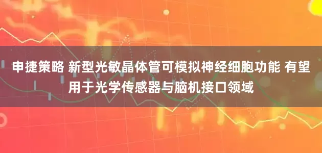申捷策略 新型光敏晶体管可模拟神经细胞功能 有望用于光学传感器与脑机接口领域