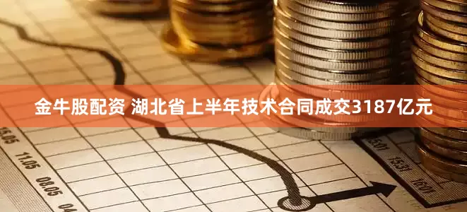 金牛股配资 湖北省上半年技术合同成交3187亿元