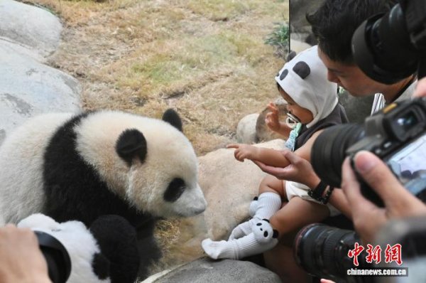 金财配资 香港海洋公园2024/2025财政年度收入超12亿港元